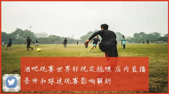 酒吧观赛世界杯规定梳理 店内直播条件和球迷观赛影响解析
