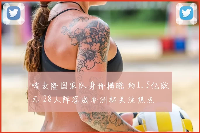 喀麦隆国家队身价揭晓 约1.5亿欧元 28人阵容成非洲杯关注焦点