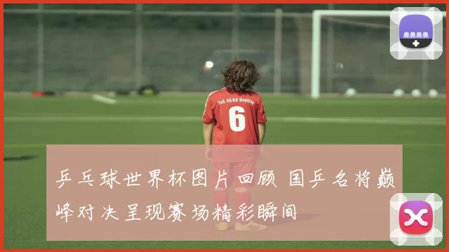 乒乓球世界杯图片回顾 国乒名将巅峰对决呈现赛场精彩瞬间